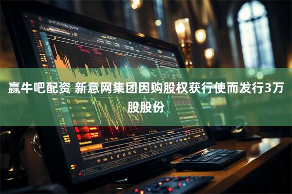 赢牛吧配资 新意网集团因购股权获行使而发行3万股股份