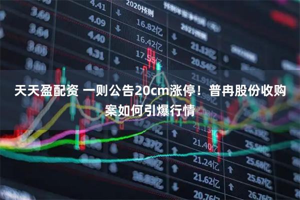 天天盈配资 一则公告20cm涨停！普冉股份收购案如何引爆行情