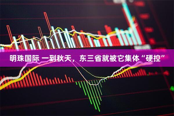 明珠国际 一到秋天，东三省就被它集体“硬控”