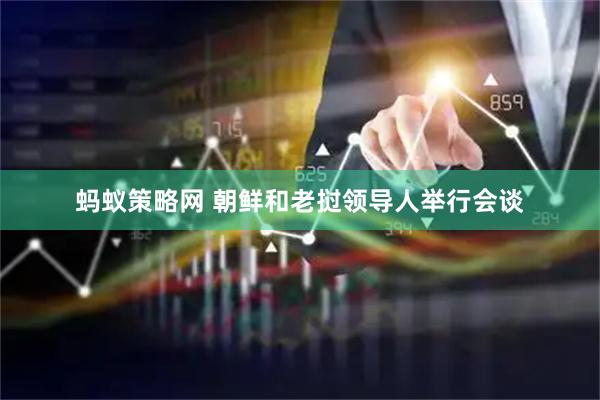蚂蚁策略网 朝鲜和老挝领导人举行会谈
