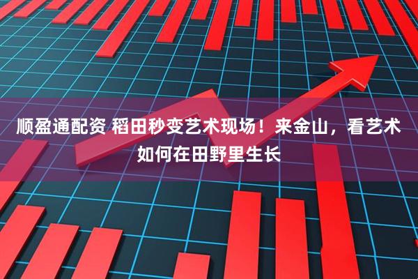 顺盈通配资 稻田秒变艺术现场！来金山，看艺术如何在田野里生长