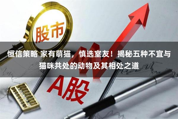 恒信策略 家有萌猫,慎选室友!揭秘五种不宜与猫咪共处的动物及其相处之道